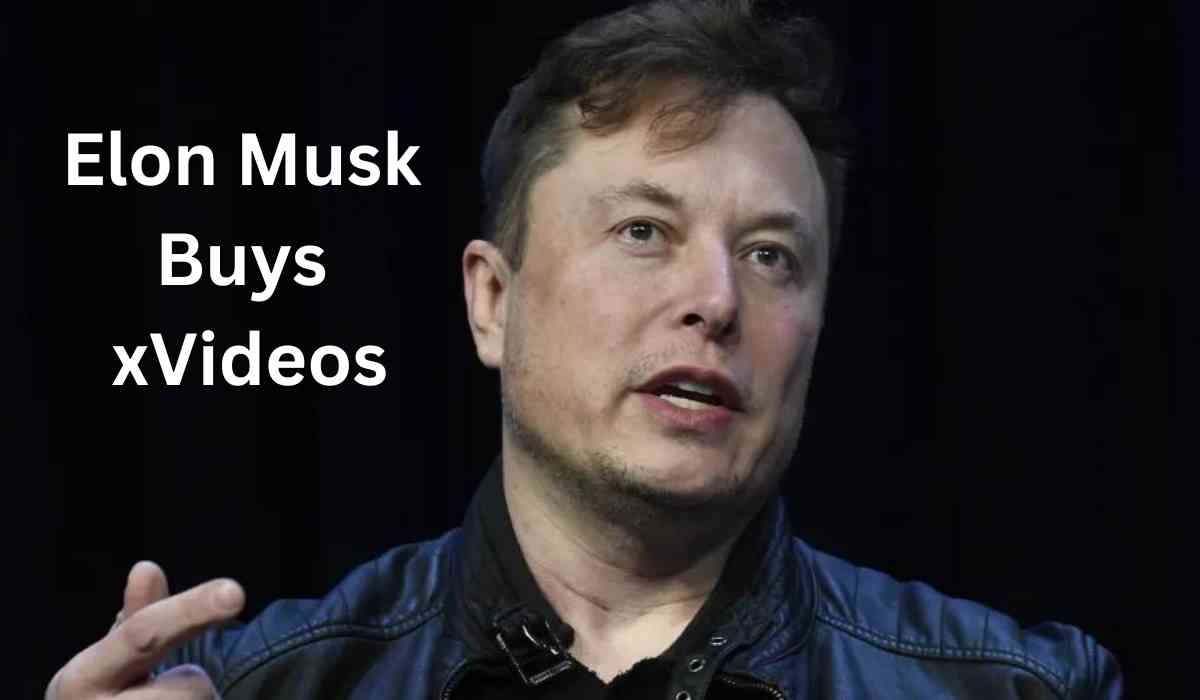 elon musk buys xvideos