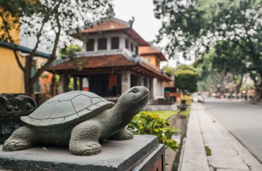 Vietnam Travel Experience