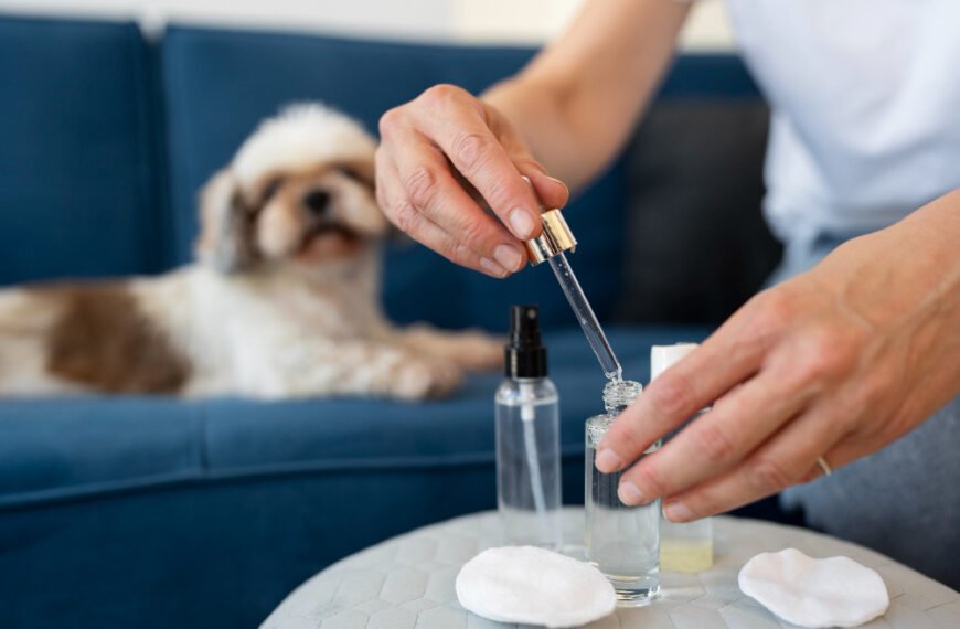 CBD for Your Dog