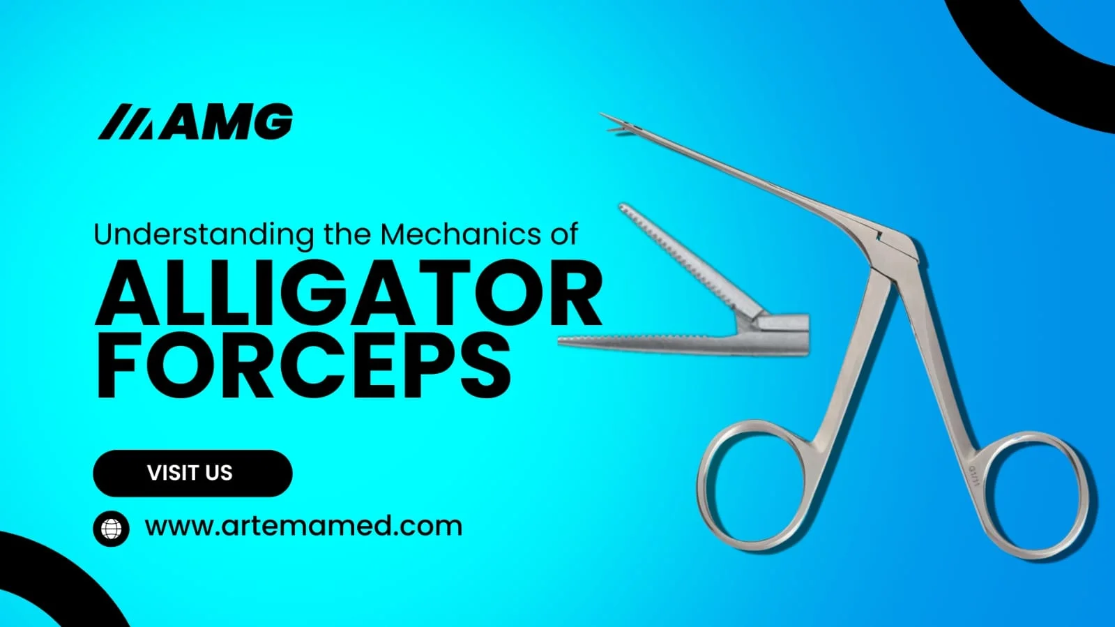 Alligator Forceps