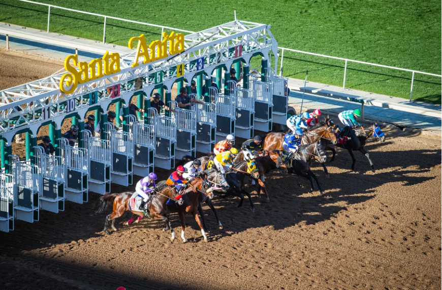 Legendary Horses That Made History at Santa Anita Race Track