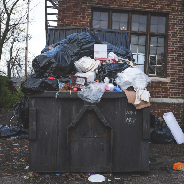 How Your Garbage Habits Invite Rat Problems