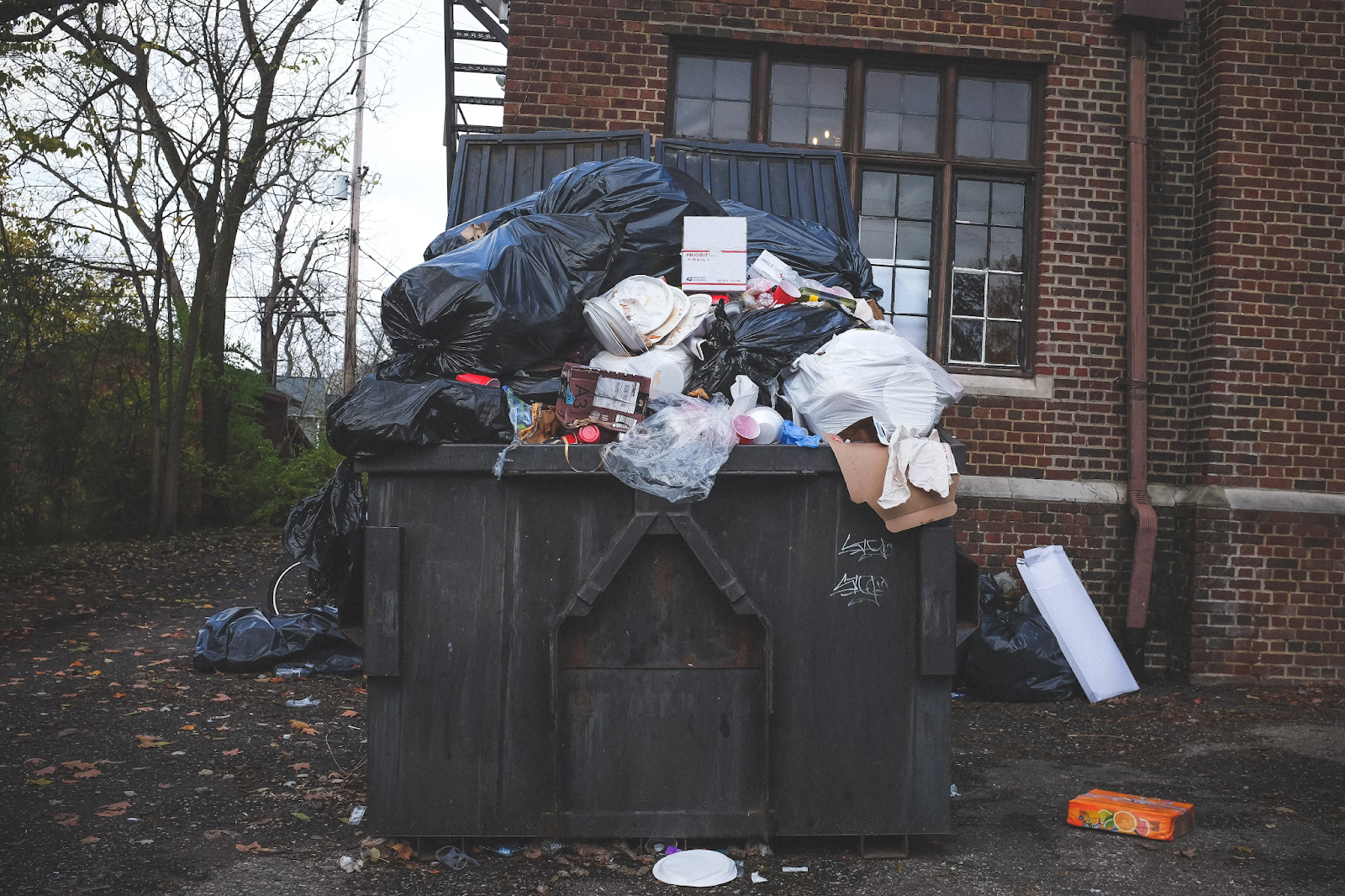 How Your Garbage Habits Invite Rat Problems