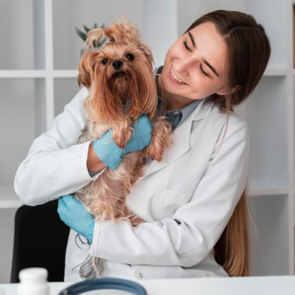Pet Insurance