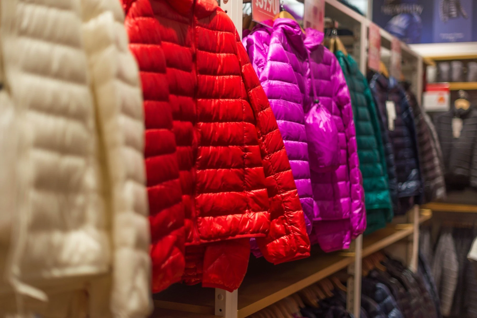 Insulated Jackets