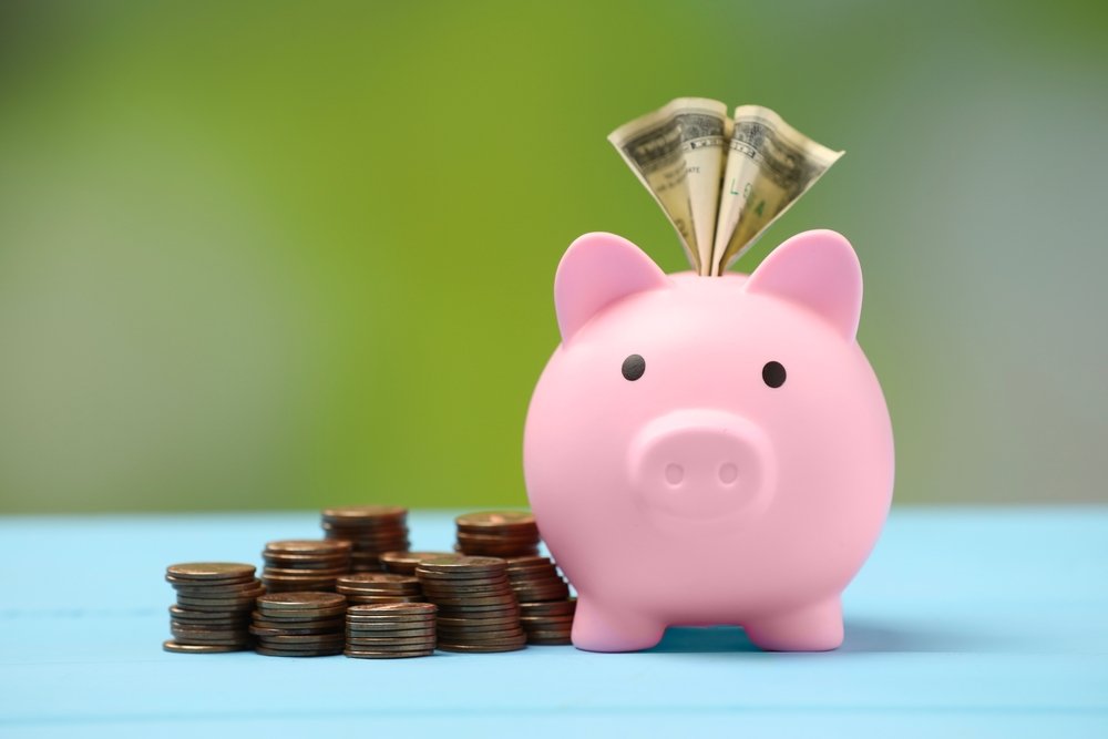 Pink,Piggy,Bank,With,Dollar,Banknote,And,Stacks,Of,Coins