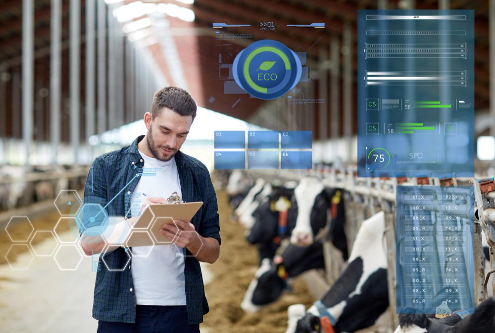 Smart Coop Solutions