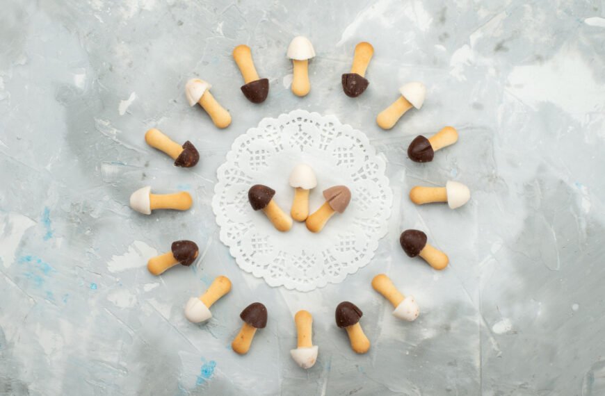 Why Mushrooms Are Gaining Attention in Canine Nutrition Circles