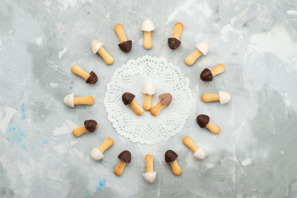 Why Mushrooms Are Gaining Attention in Canine Nutrition Circles