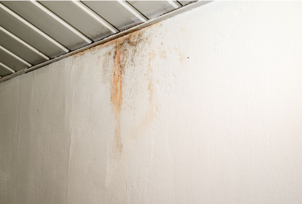 Water Leaks