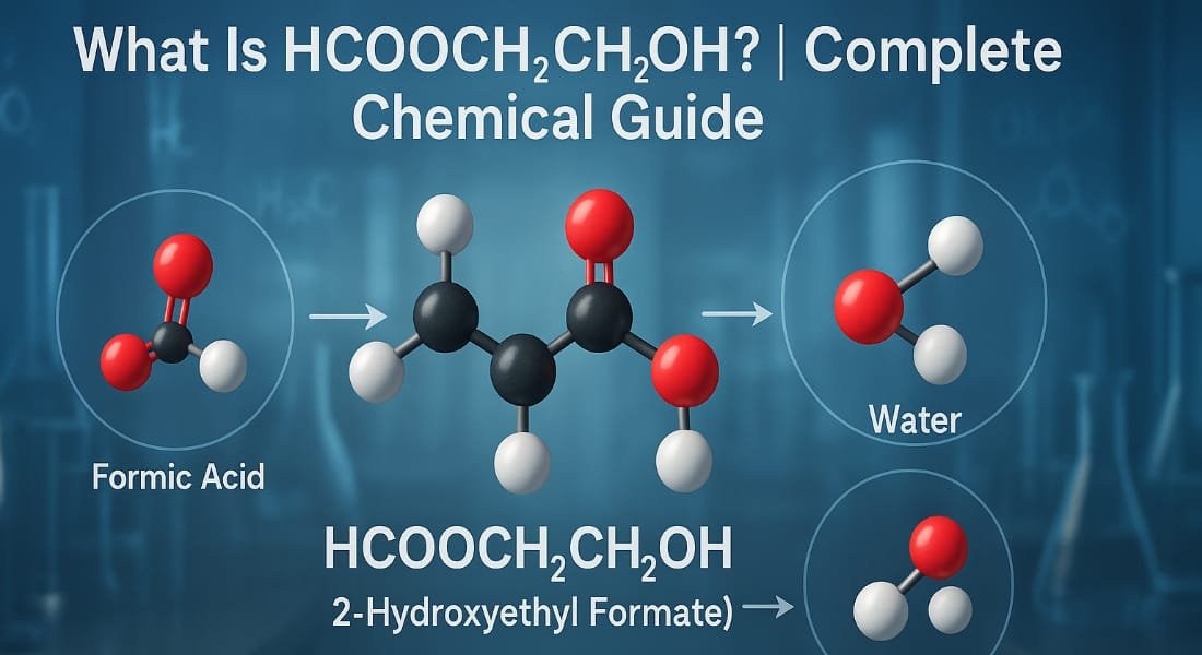 What is HCOOCH CH2 H2O?