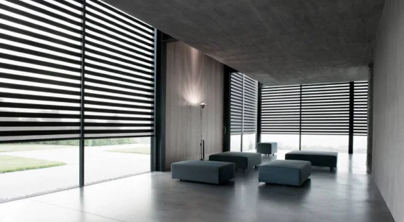 Zebra Blinds