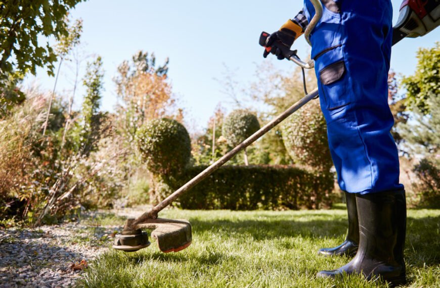 Better Lawn Care