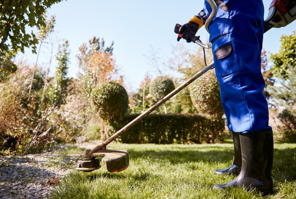 Better Lawn Care