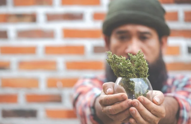 Dispensaries