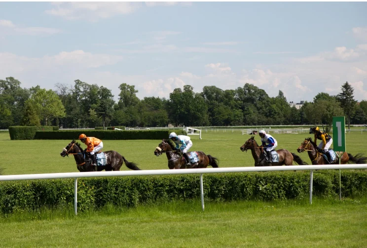 Bowling Green Stakes 2025