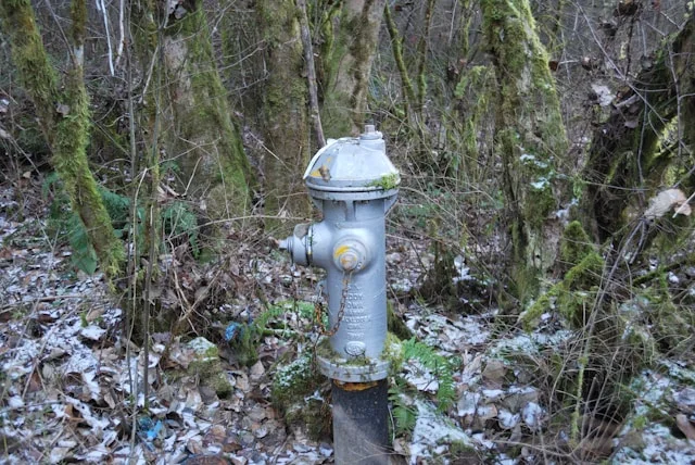 Water Flow Meter