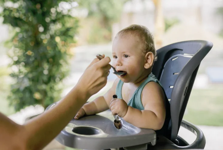 EU baby food standards vs UK