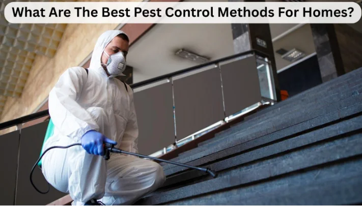 What Are The Best Pest Control Methods For Homes?