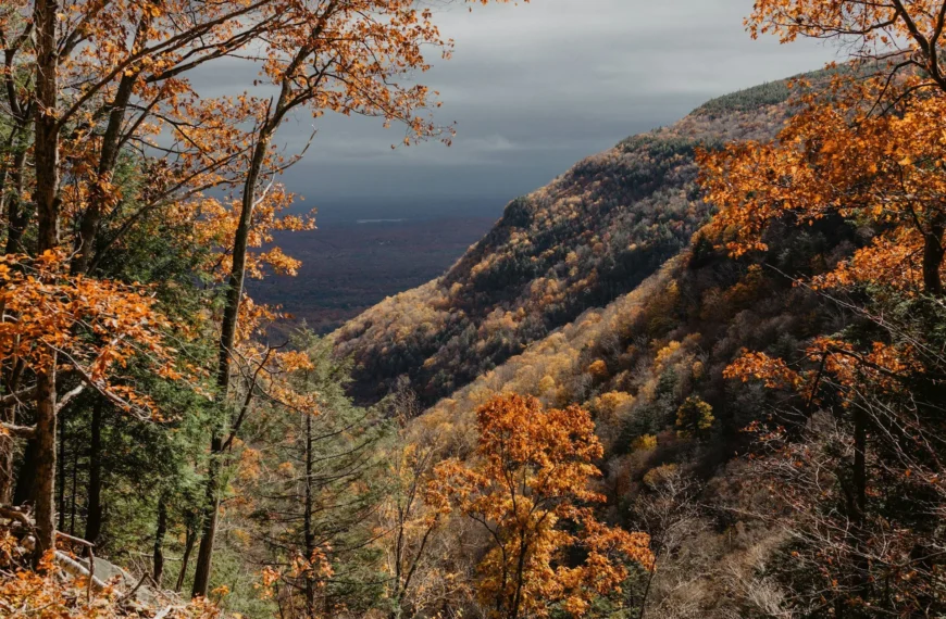 Hidden Gems: Unique Catskills Events…