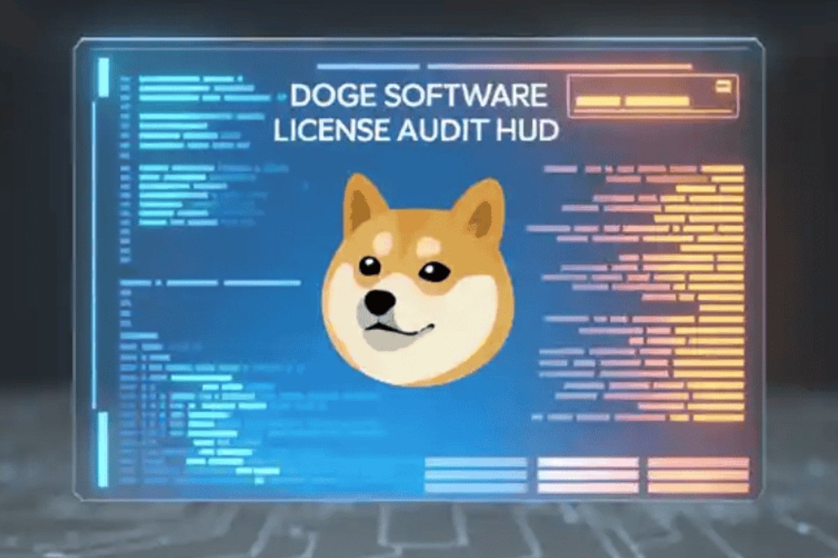 Doge Software Licenses Audit HUD