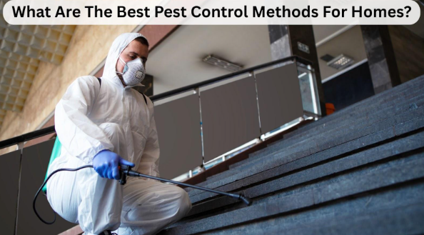 What Are The Best Pest Control Methods For Homes?