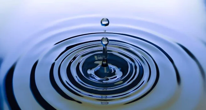 The Ripple Effect: How the Frankel Eight Case Inspires Survivors Worldwide