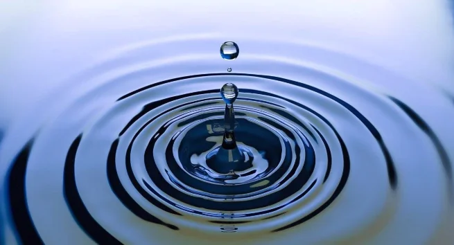 The Ripple Effect: How the Frankel Eight Case Inspires Survivors Worldwide