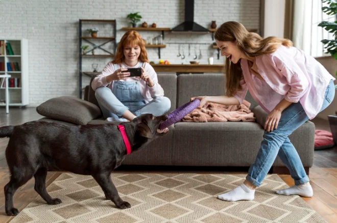 What To Look For In A Pet-Friendly Apartment Community
